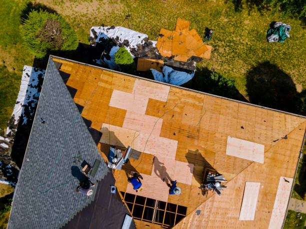 Best Roof Gutter Cleaning  in Derry, PA